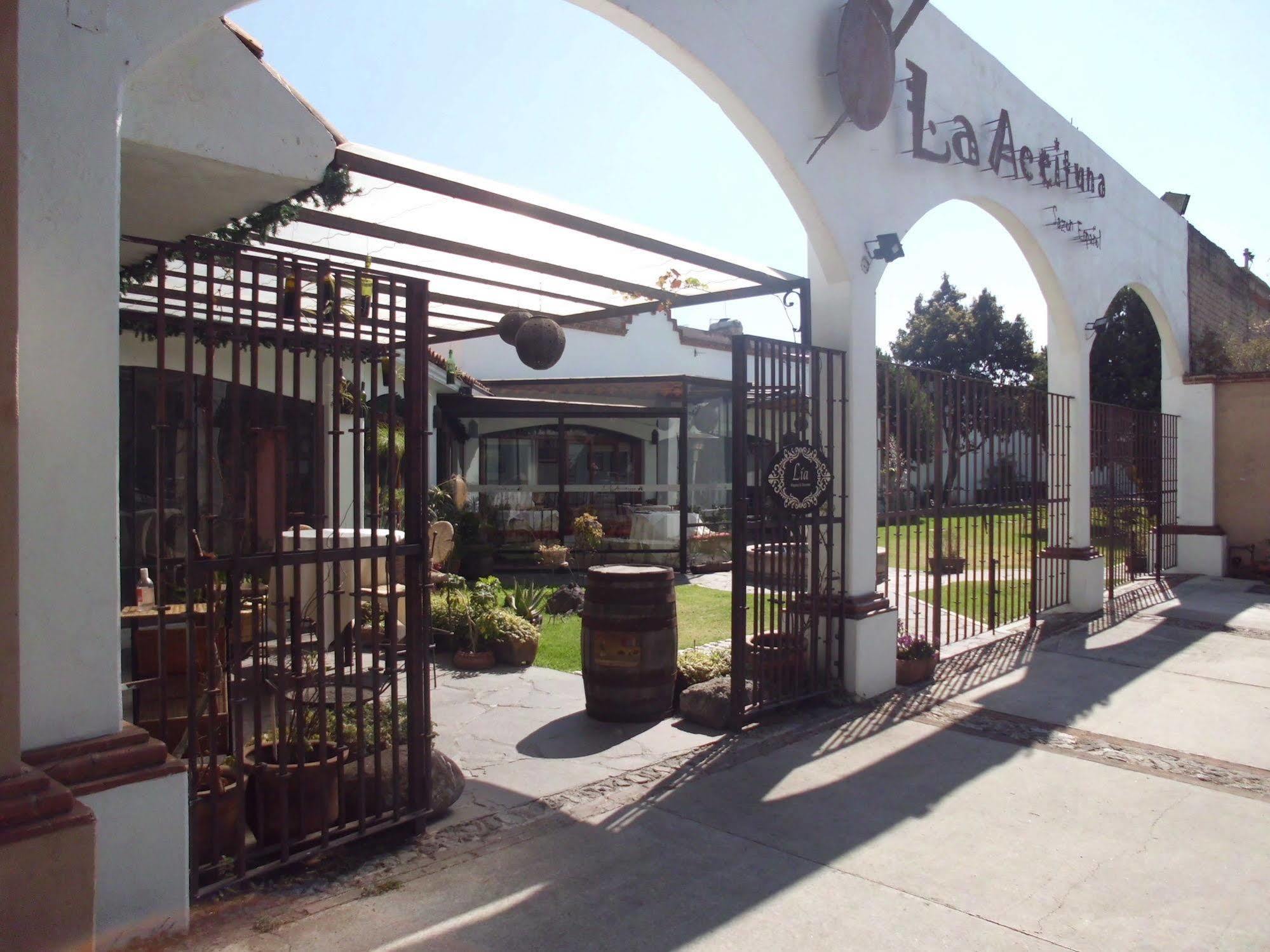 Hotel La Posada Apizaco Екстер'єр фото